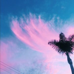 Meet your Posher, Chloe